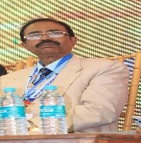 Prof. (Dr.) Nripendra Nath Bala, Principal
